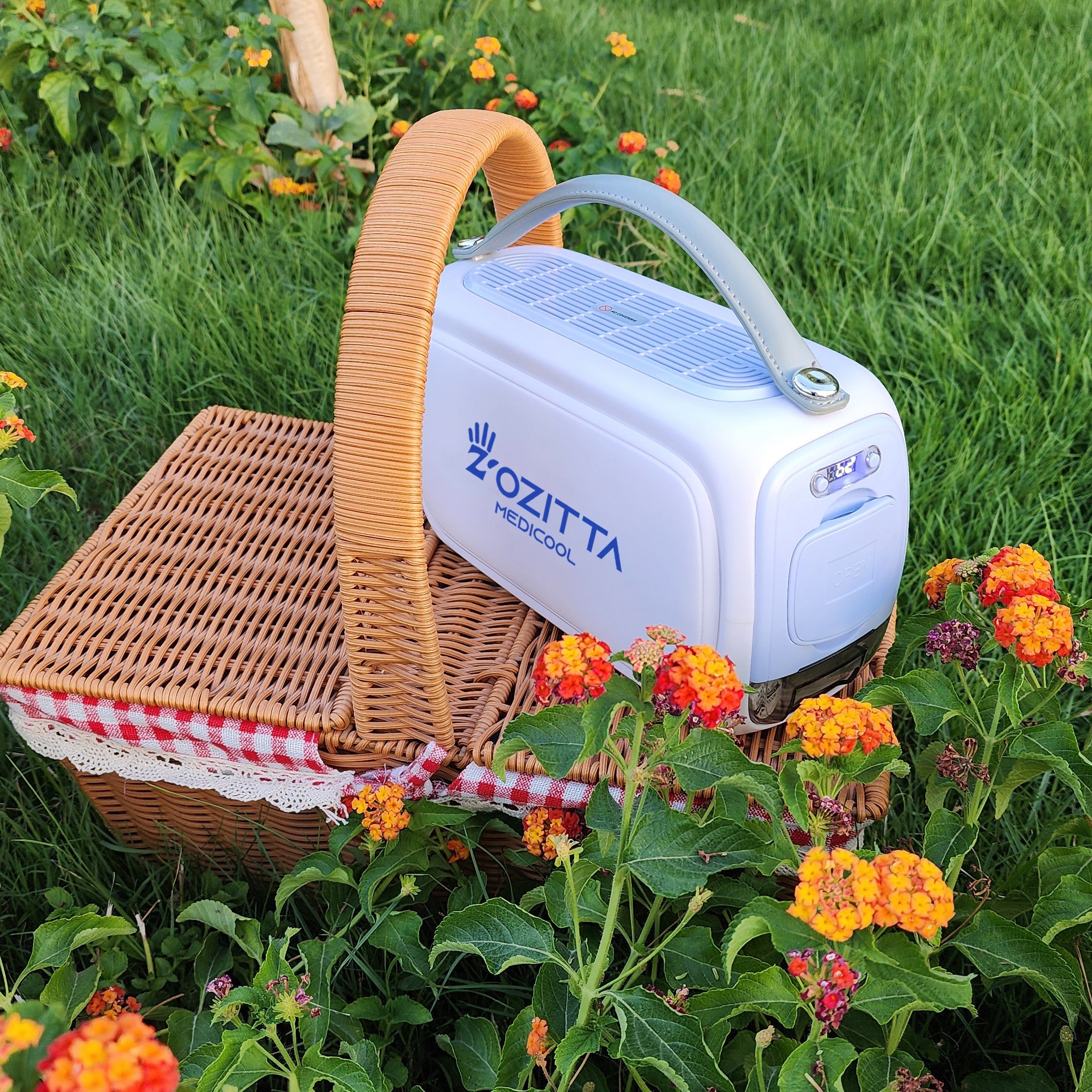 زوزيتا ميدكول الثلاجة الصغيرة المحمولة، ثلاجة تبريد للسفر. 